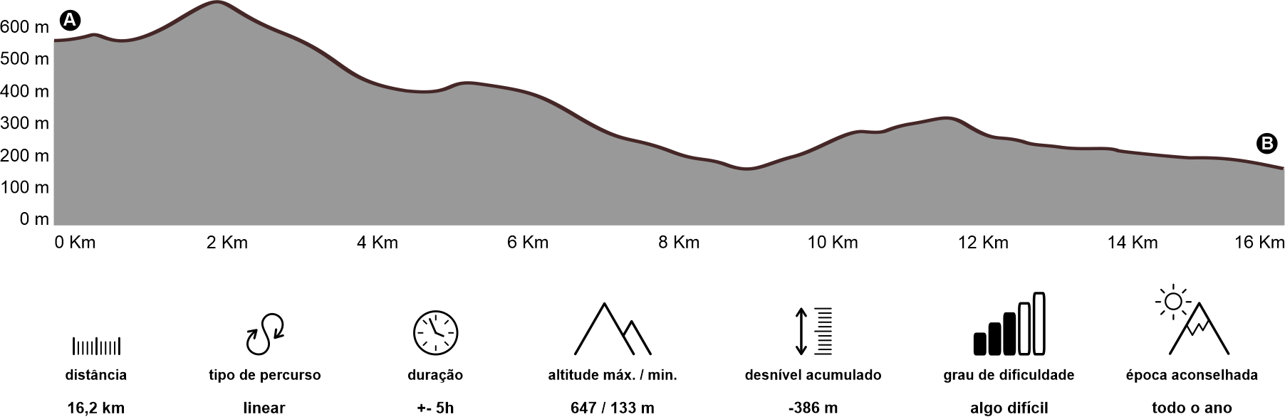 Altimetria